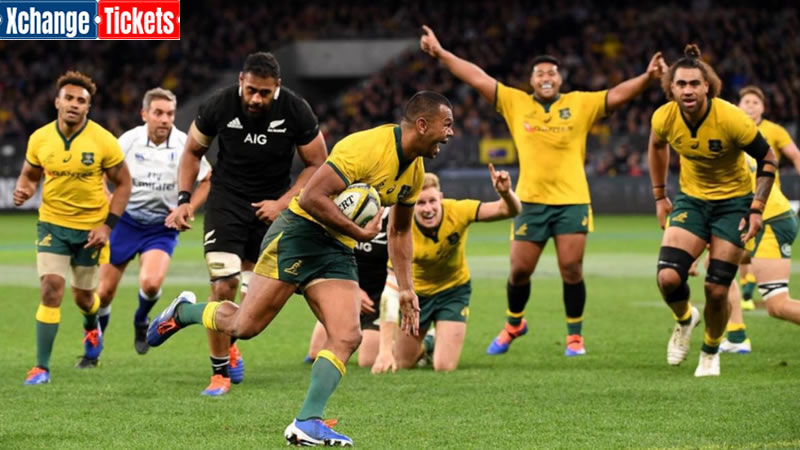 Test teams expect the RWC 2023 to be dominated by cards
