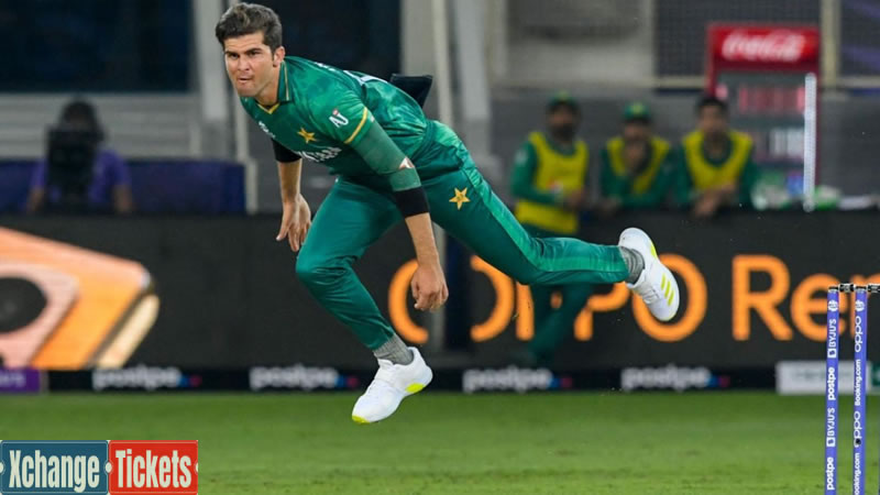 I texture that Haris Rauf and Shaheen (Afridi) will be vital
