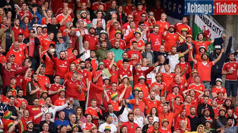 Wales Football World Cup Fans
