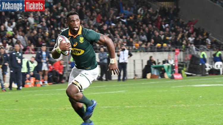 South Africa vs Romania Tickets | RWC 2023 Tickets | Rugby World Cup Final Tickets | France Rugby World Cup Tickets | RWC Tickets